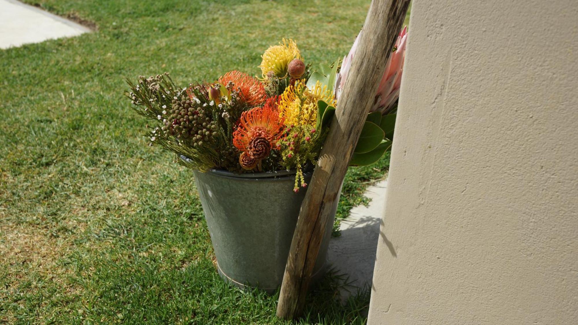 Stellar Overberg Travellers Lodge Napier 외부 사진