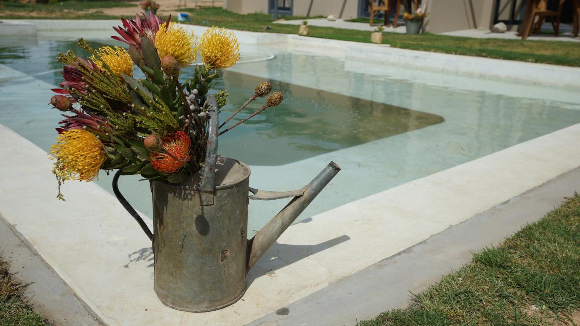 Stellar Overberg Travellers Lodge Napier 외부 사진