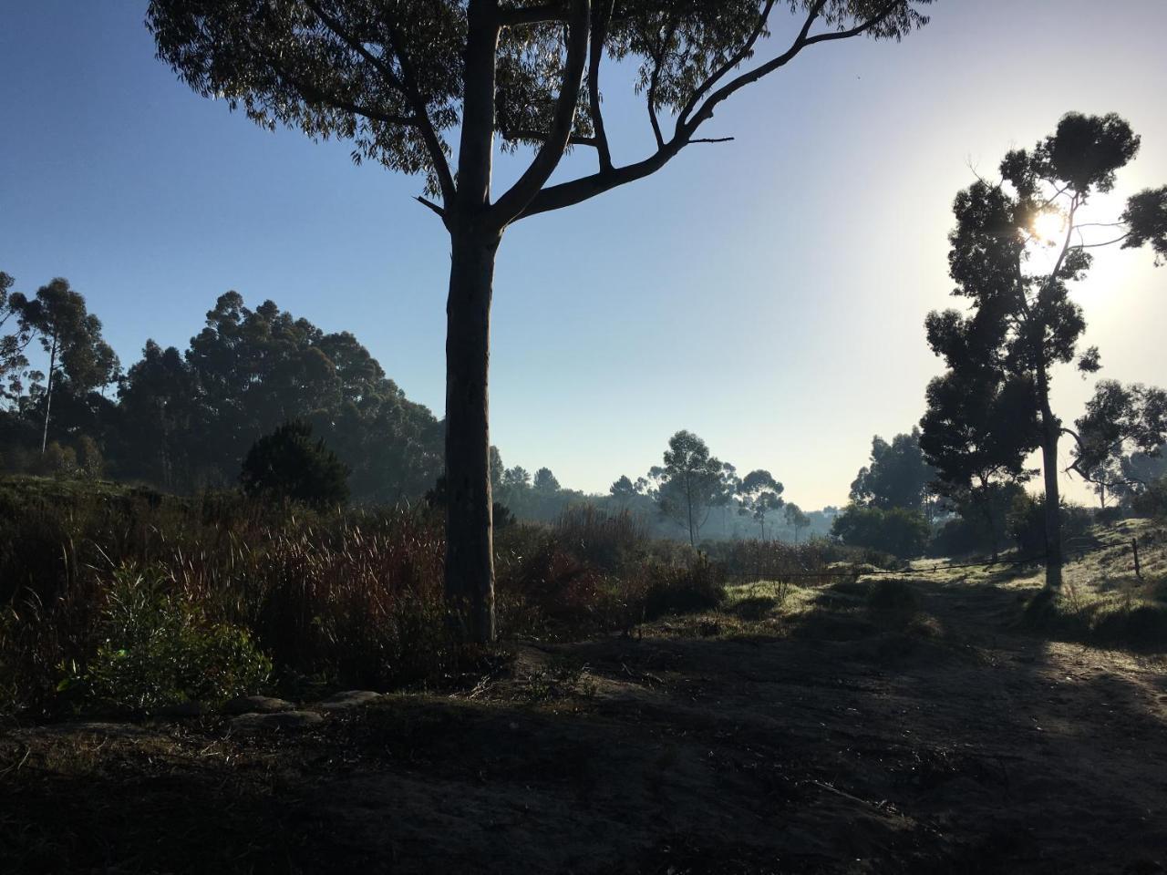 Stellar Overberg Travellers Lodge Napier 외부 사진