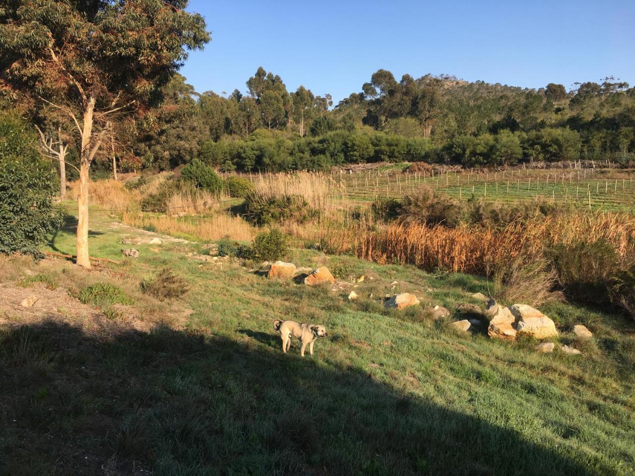 Stellar Overberg Travellers Lodge Napier 외부 사진