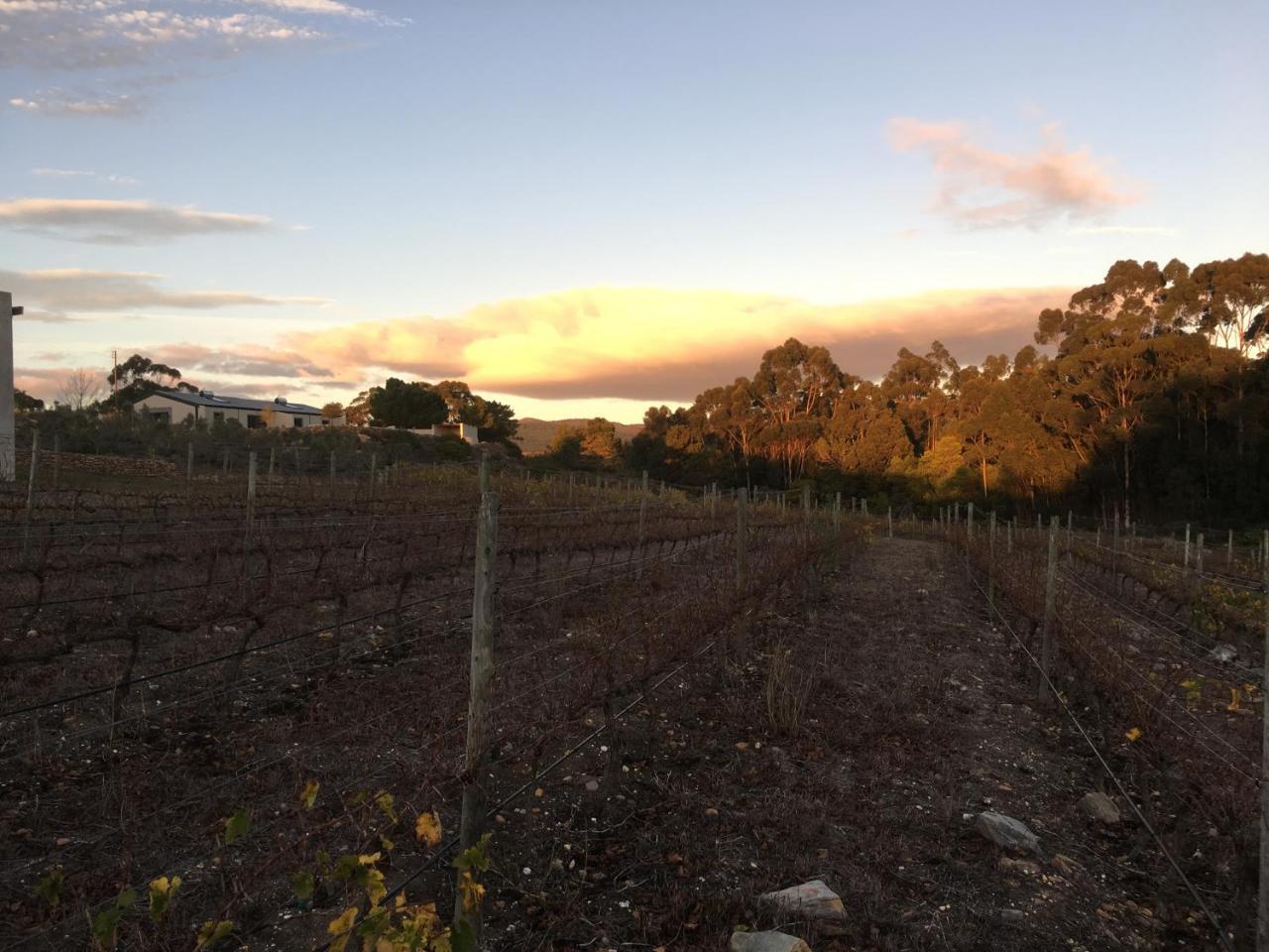 Stellar Overberg Travellers Lodge Napier 외부 사진