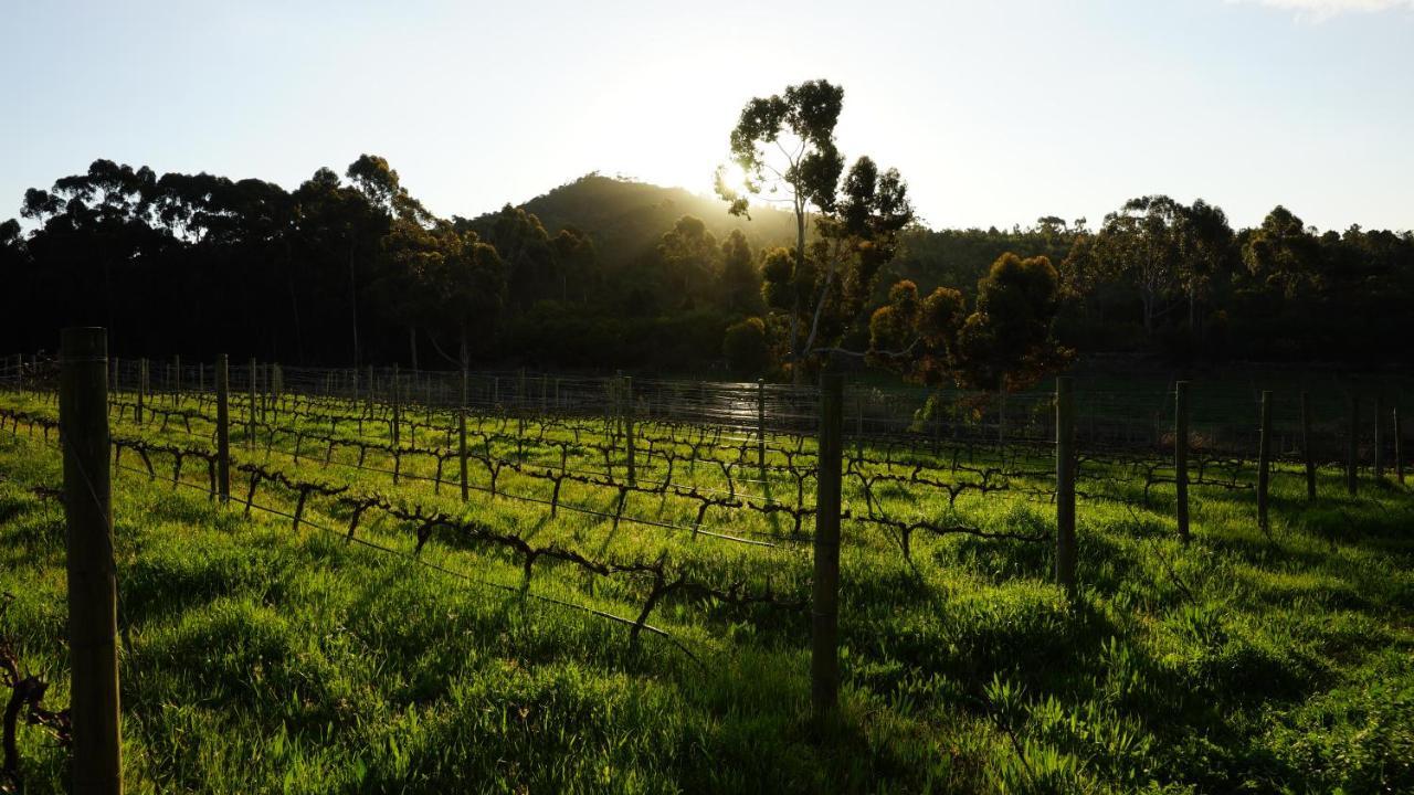 Stellar Overberg Travellers Lodge Napier 외부 사진