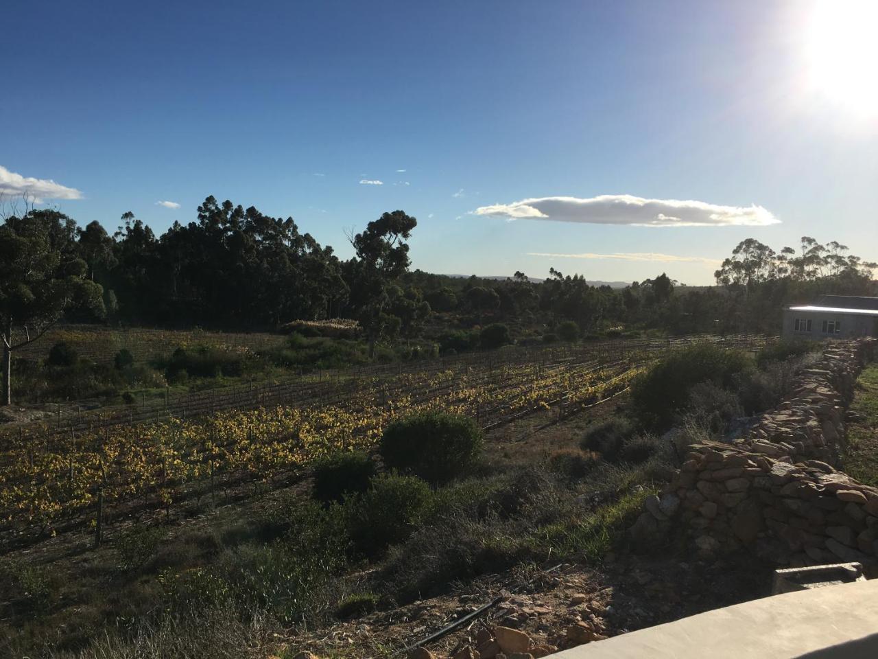 Stellar Overberg Travellers Lodge Napier 외부 사진