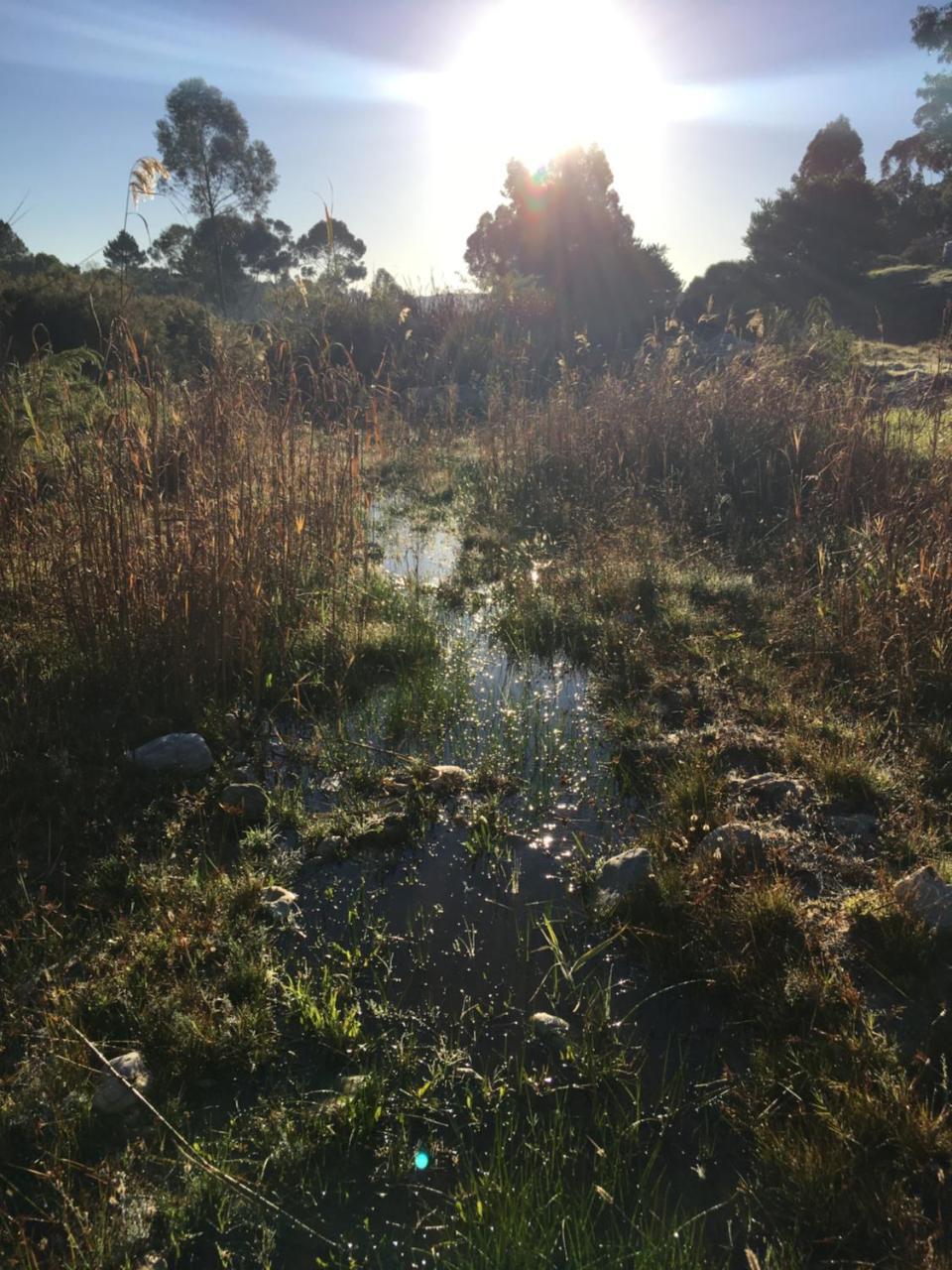 Stellar Overberg Travellers Lodge Napier 외부 사진