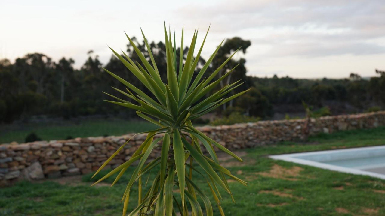 Stellar Overberg Travellers Lodge Napier 외부 사진