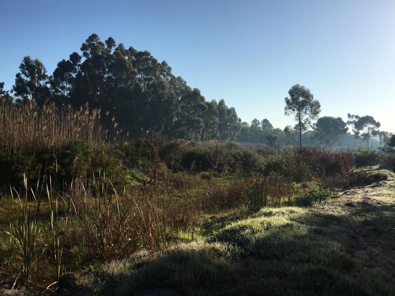 Stellar Overberg Travellers Lodge Napier 외부 사진