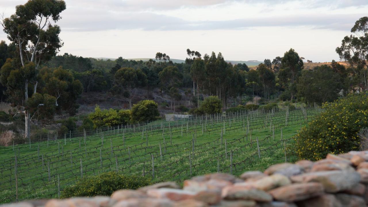 Stellar Overberg Travellers Lodge Napier 외부 사진